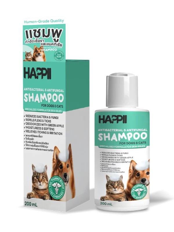 21 AntiBac Shampoo